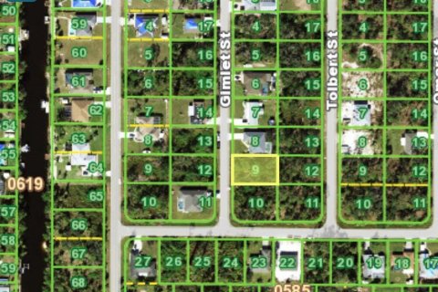 Land in Port Charlotte, Florida № 2160350 - photo 2