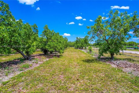Propiedad comercial en venta en Homestead, Florida № 2011434 - foto 9