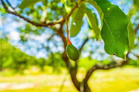 Propiedad comercial en venta en Homestead, Florida № 2011434 - foto 12