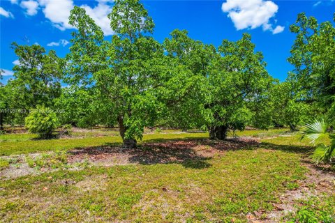 Propiedad comercial en venta en Homestead, Florida № 2011434 - foto 10