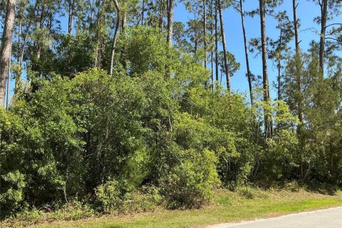 Land in Palm Coast, Florida № 1769099 - photo 3