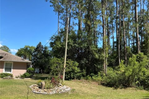 Land in Palm Coast, Florida № 1769099 - photo 4