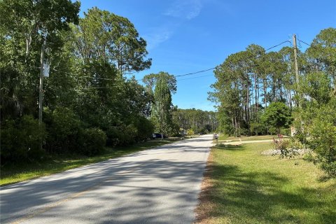 Land in Palm Coast, Florida № 1769099 - photo 6