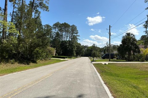 Land in Palm Coast, Florida № 1769099 - photo 5