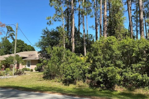 Land in Palm Coast, Florida № 1769099 - photo 2