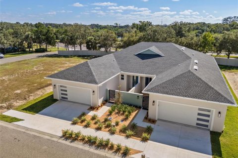 Villa ou maison à Tarpon Springs, Floride 3 chambres, 178.93 m2 № 2143300