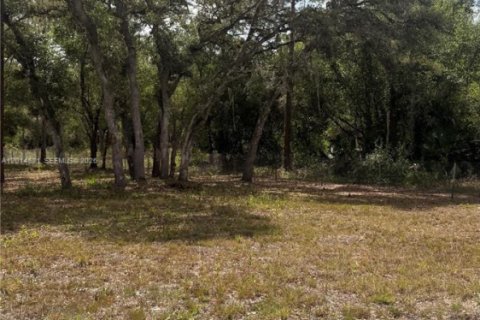 Terrain à vendre à Clewiston, Floride № 2171267 - photo 5