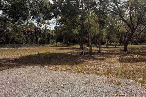 Terrain à vendre à Clewiston, Floride № 2171267 - photo 4