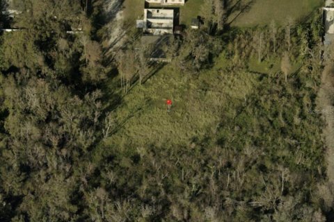 Terreno en venta en Tampa, Florida № 1880768 - foto 1
