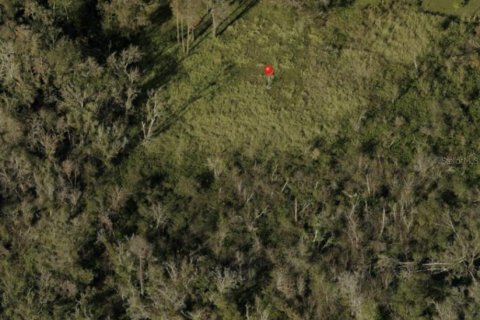 Terreno en venta en Tampa, Florida № 1880768 - foto 2