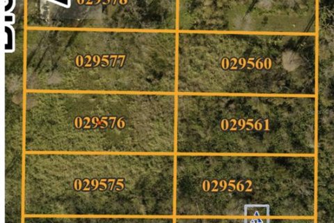 Terreno en venta en Tampa, Florida № 1880768 - foto 3