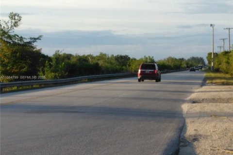 Immobilier commercial à Homestead, Floride № 2089725
