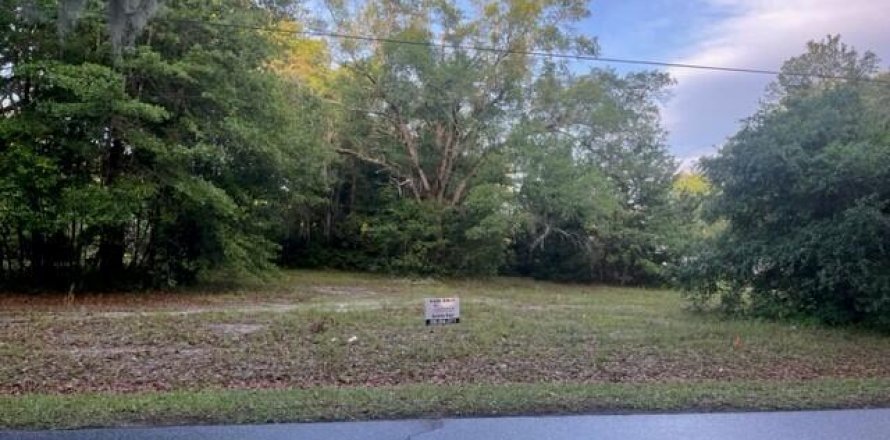 Land in Jacksonville, Florida № 768442