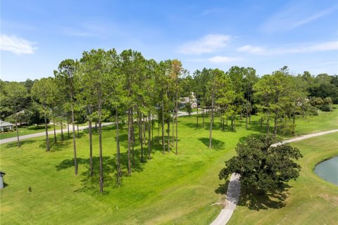 Land in Alachua, Florida № 1900879 - photo 11