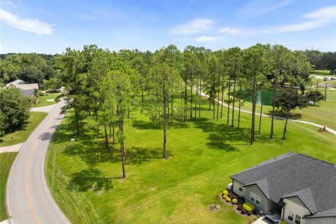 Land in Alachua, Florida № 1900879 - photo 10