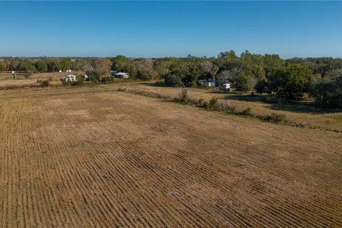 Land in Davenport, Florida № 1808283 - photo 6