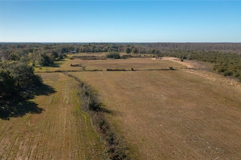 Land in Davenport, Florida № 1808283 - photo 7