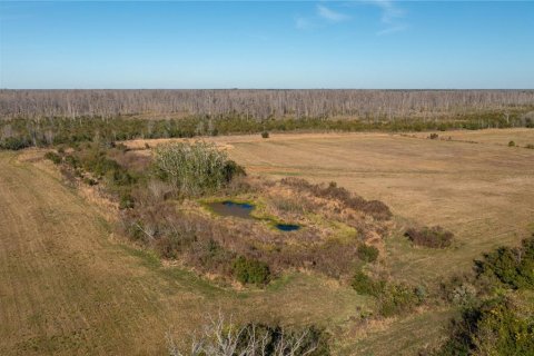 Land in Davenport, Florida № 1808283 - photo 5