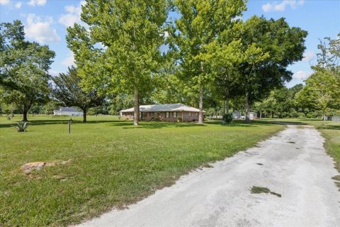 Casa en venta en Trenton, Florida, 4 dormitorios, 178.37 m2 № 1808084 - foto 5