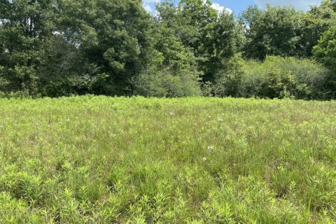 Land in Molino, Florida № 561410 - photo 1