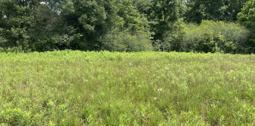 Land in Molino, Florida № 561410
