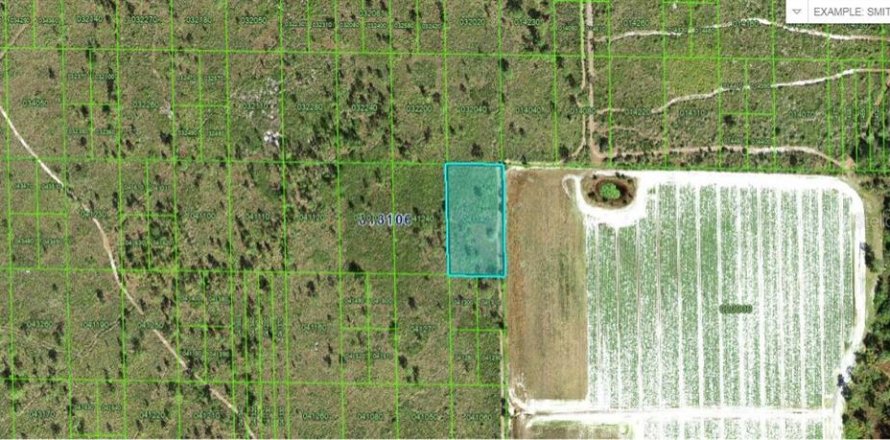Land in Lake Wales, Florida № 2163762