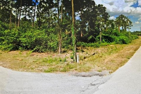 Land in Ocala, Florida № 1677304 - photo 1