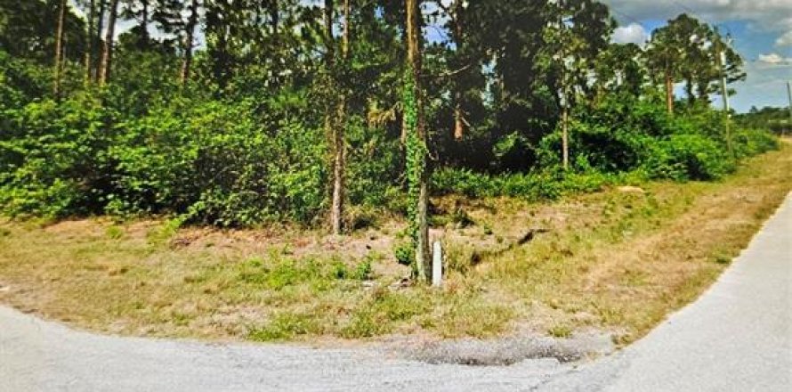 Land in Ocala, Florida № 1677304
