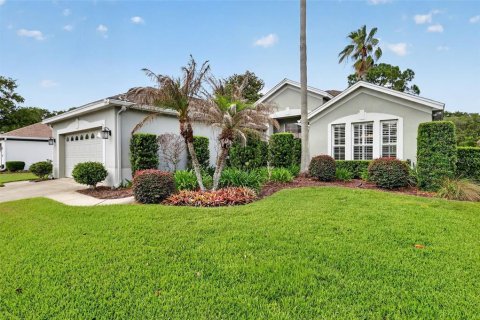 House in Mount Dora, Florida 3 bedrooms, 187.29 sq.m. № 2102965