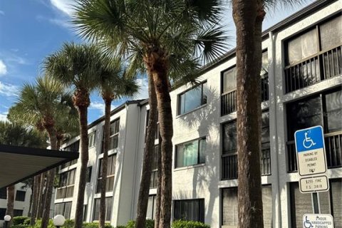 Condo à Clearwater, Floride, 1 chambre  № 2308612