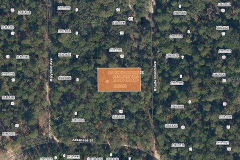Land in Satsuma, Florida № 2160319 - photo 2