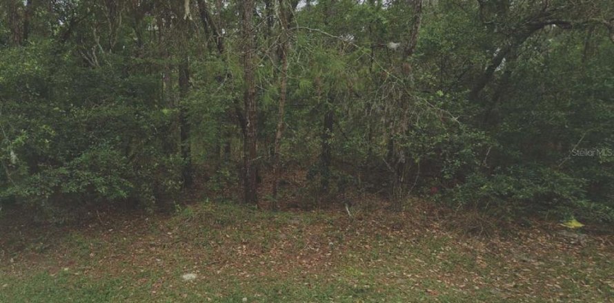 Land in Satsuma, Florida № 2160319