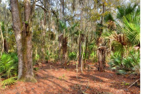 Terreno en venta en Fish Hawk, Florida № 1823136 - foto 5