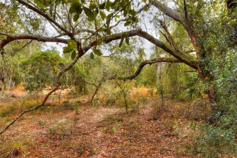 Terreno en venta en Fish Hawk, Florida № 1823136 - foto 1