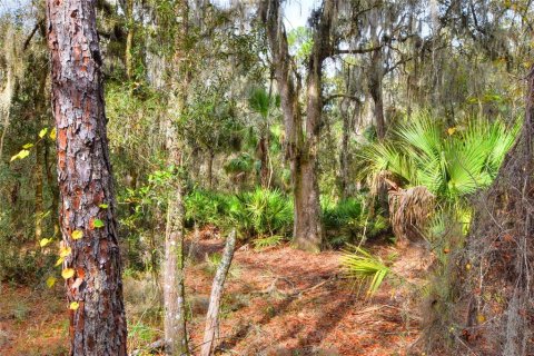 Terreno en venta en Fish Hawk, Florida № 1823136 - foto 4