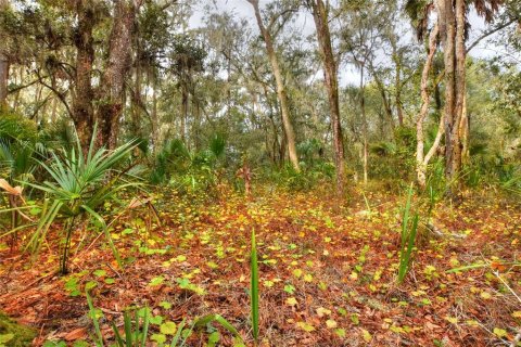 Terreno en venta en Fish Hawk, Florida № 1823136 - foto 6