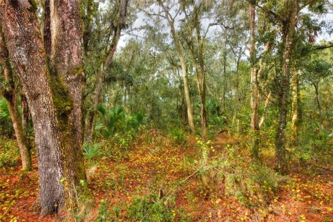 Terreno en venta en Fish Hawk, Florida № 1823136 - foto 7