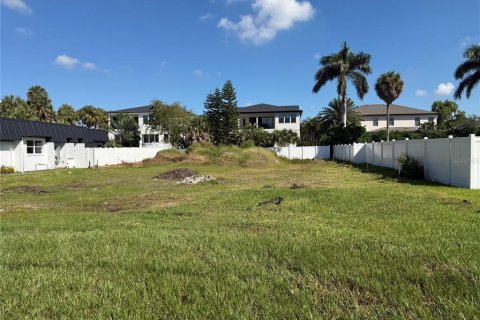 Land in Tampa, Florida № 2383332