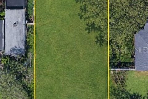 Land in Tampa, Florida № 2383332 - photo 2