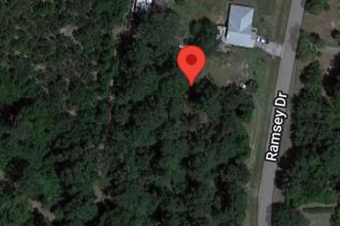Land in Melrose, Florida № 1146323 - photo 1