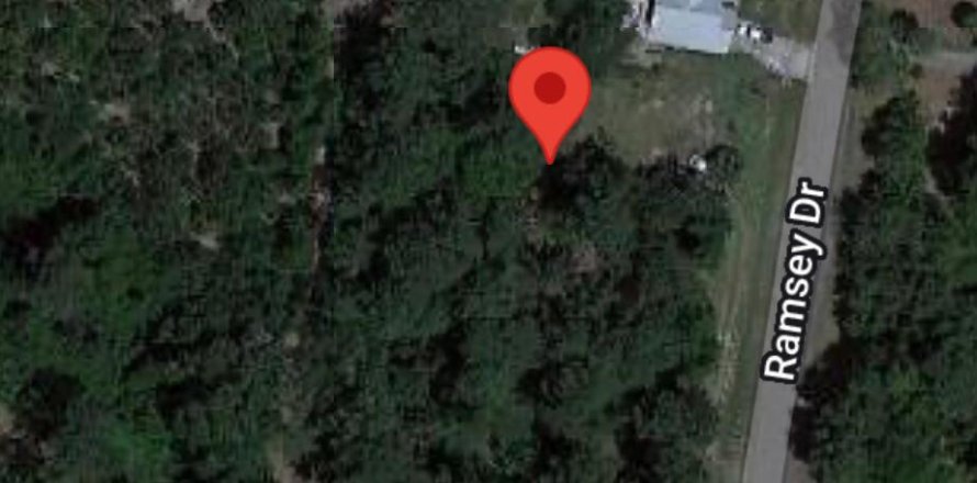 Land in Melrose, Florida № 1146323