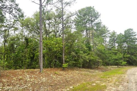 Terreno en venta en Dunnellon, Florida № 2159572 - foto 3