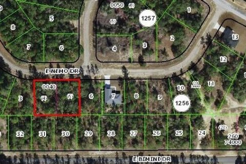 Terreno en venta en Dunnellon, Florida № 2159572 - foto 7
