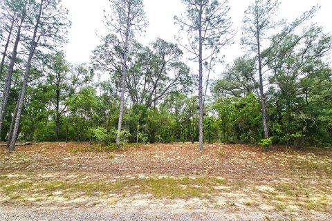 Land in Dunnellon, Florida № 2159572