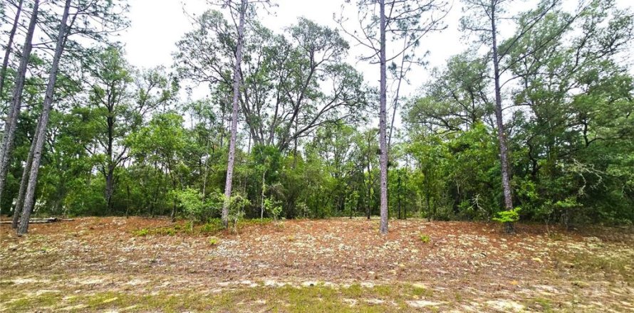 Terreno en Dunnellon, Florida № 2159572