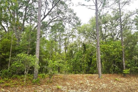 Terreno en venta en Dunnellon, Florida № 2159572 - foto 2