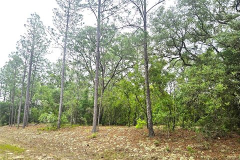 Terreno en venta en Dunnellon, Florida № 2159572 - foto 4