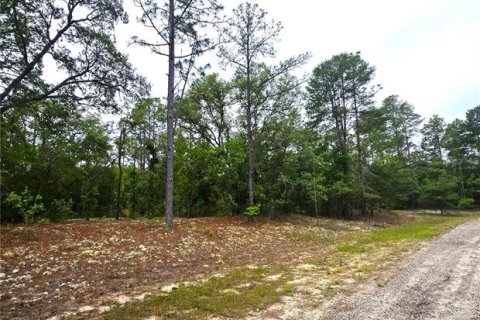 Terreno en venta en Dunnellon, Florida № 2159572 - foto 5