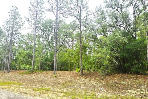 Terreno en venta en Dunnellon, Florida № 2159572 - foto 6