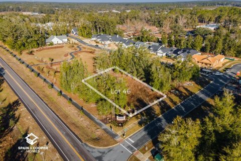 Land in Newberry, Florida № 1534521 - photo 4